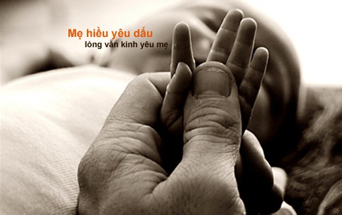 Cảm ơn mẹ, cảm ơn mẹ đã cho con chào đời. Con xin ngồi thật yên để thấy mình là tiếp nối của mẹ, của cha, của tổ tiên.